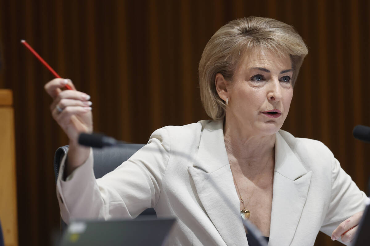 Article image for Michaelia Cash blasts the Albanese government over breastfeeding protections for biological men