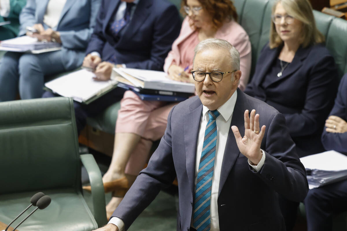 Article image for ‘Give it six months’ – The high-profile Labor MP who could be rolled