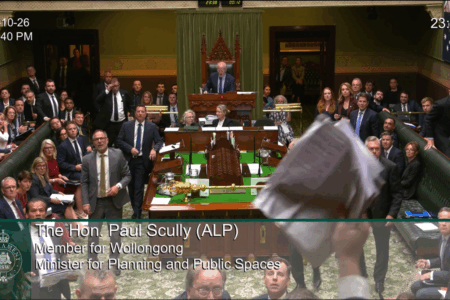 ‘You’re dumb!’ – James Willis tees off on protester behind State Parliament stunt