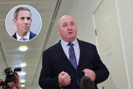 ‘Killing season’ – Barnaby’s Jim Chalmers prediction