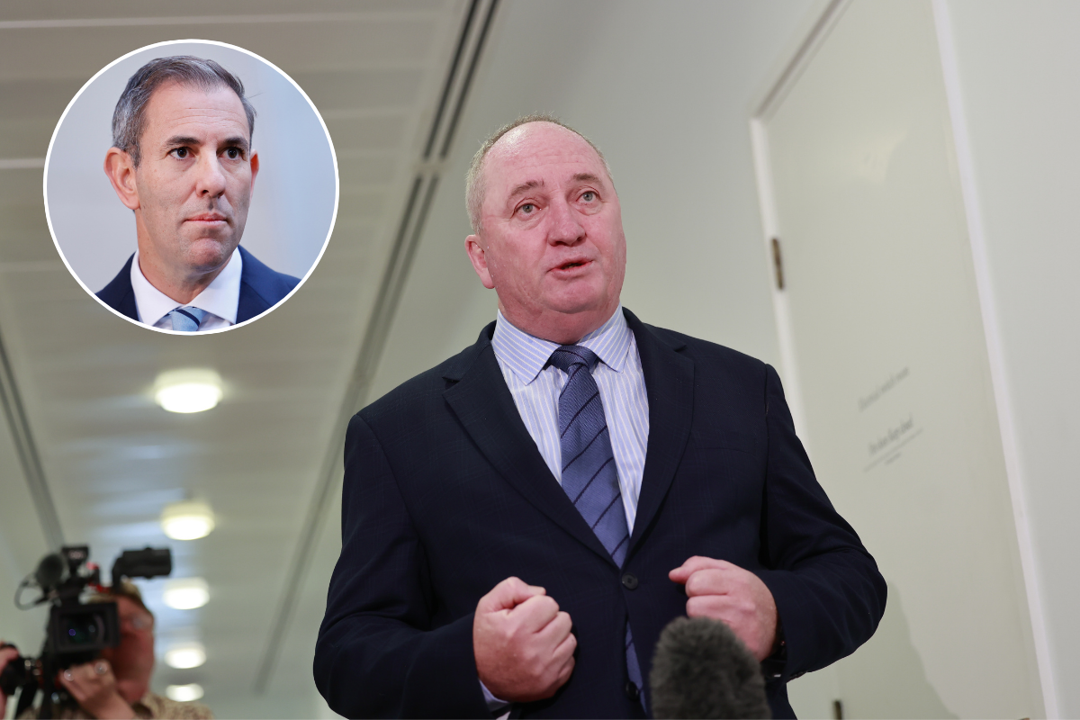 Article image for ‘Killing season’ – Barnaby’s Jim Chalmers prediction