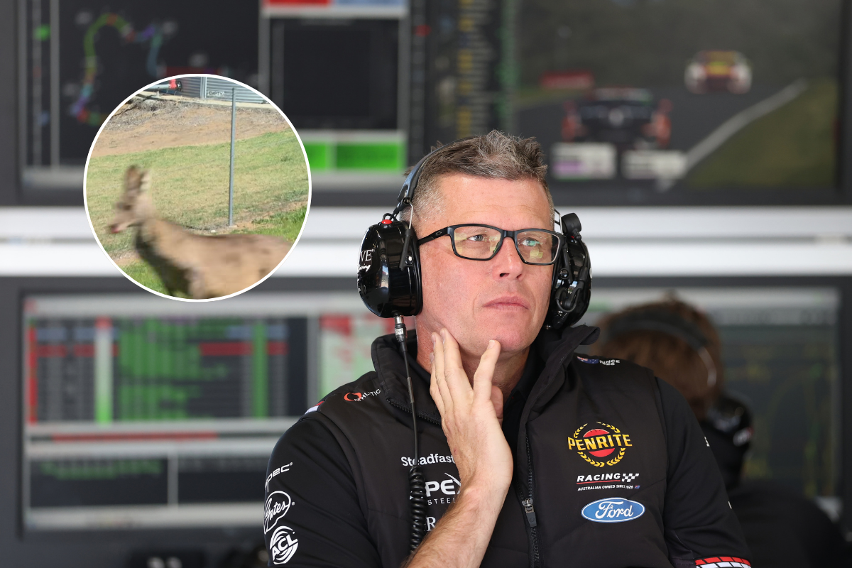 Article image for ‘Roos hopping free’ – Garth Tander on the chaos of Bathurst 1000